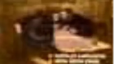 Emekçinin Kitaplığı Kitabı