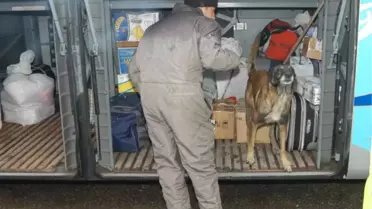 Yolcu Otobüsüyle Esrar Sevkiyatı 'Tora'ya Takıldı