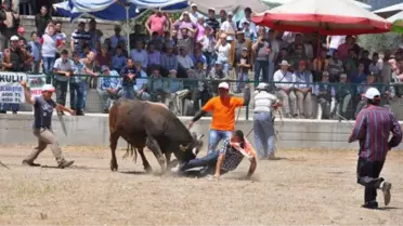 Kızgın Boğanın İntikamı!