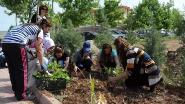Daha Yeşil Bir Üniversite Çalışması