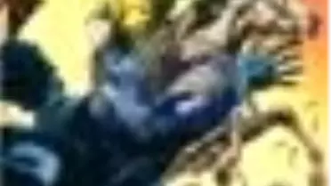 Tex Sayı: 74 Şerif Zor Durumda Kitabı