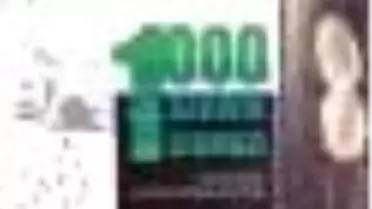 1000 Darwin Çıkmazı Kitabı