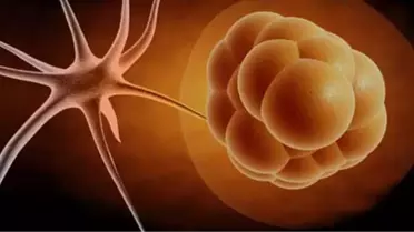 Tıp Tarihinde Devrim