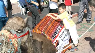 Devrek'te Öğrenciler Yararında Kermes