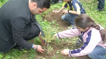 Bahçesaray'da Fidan Dikimi