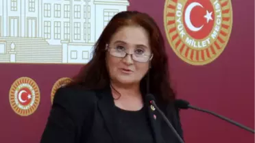 CHP'li Akkiray, Suriye'den Gelen Araçları Sordu