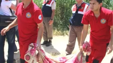 Piknikte Kaybolan Kız Çocuğu Ölü Bulundu
