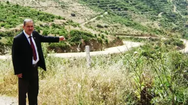 Kayaköy'ün Alternatif Ürünü Çamfıstığı Olacak