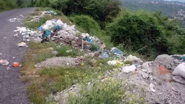 Alaplı'nın Köylerinde Çakal Paniği