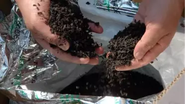 Gaziantep'te Kaçakçılık Operasyonları