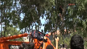 Gezi Parkı'nda Sırrı Süreyya Önder Eylemi