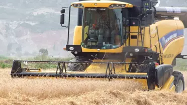 TMO'da Randevulu Alım Dönemi