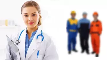 Yasa Var, İş Var, Uzman Yok