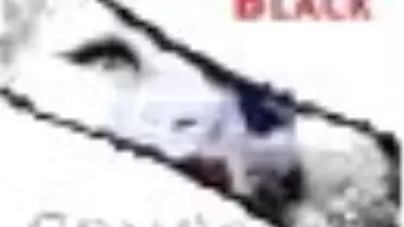 Gümüş Kuğu Kitabı