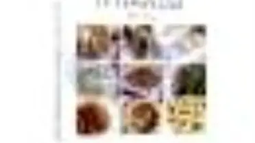 En Güzel Antep Ev Yemekleri Kitabı