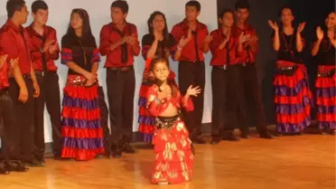 Romanlar Üzerine Çalışma