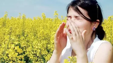 Yaz Mevsimi Alerjiyi Tetikliyor