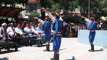 Vize Kültür, Sanat, Bilim ve Spor Festivali