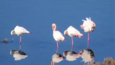 Mavişehir'de Gökdelen'e Tepki