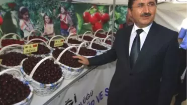 'Uluslararası Atatürk, Kültür ve Sanat Festivali'