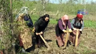 156 Kadın Kursiyer Belge Aldı