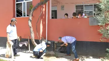 Adana'da Yılan Yakalama Operasyonu