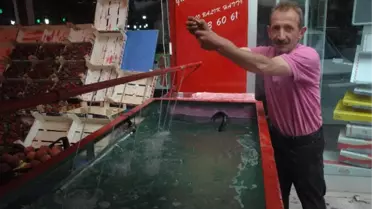 Keban Barajından Gelen Canlı Alabalıkları Taze Satabilmek İçin Akvaryum Yaptırdı