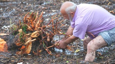 Sel Sularının Taşığı Ağaçları Denizden Topladılar
