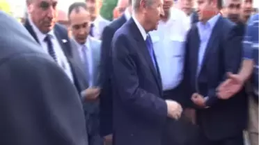 Devlet Bahçeli Nikah Şahitliği Yaptı