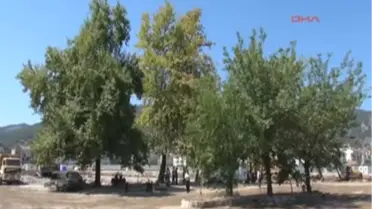 Fethiye'de 3 Ağaç İçin Avym Projesi Değiştirildi