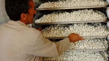Kulp, İpek Böcekçiliğin Merkezi Oldu