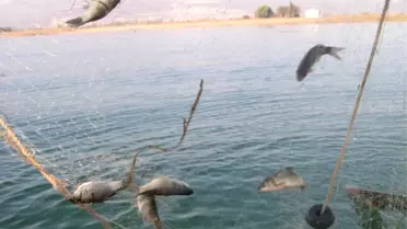 Su Ürünleri Av Yasağı