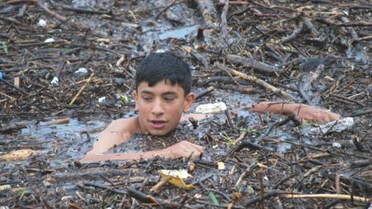 Selin Denize Taşıdığı Ağaçları Topladılar