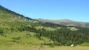 Sisdağı Erkeksu Otçu Göçü Şenliği 29 Haziran'da