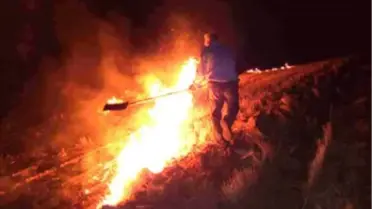 Kırıkkale'de Tarla Yangını