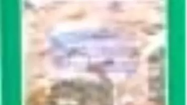 Mini Masallar - Külkedisi - Grimm Masalları Kitabı