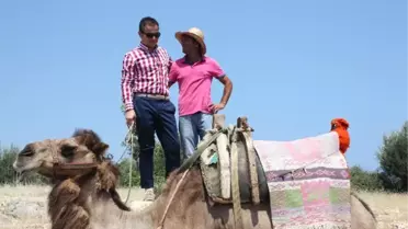 Bakan Kılıç UEFA'nın Kararını Değerlendirdi