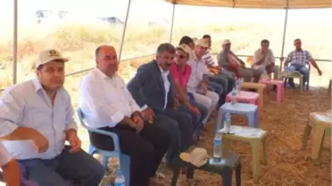 Bismil'de Tarla Günü Düzenlendi
