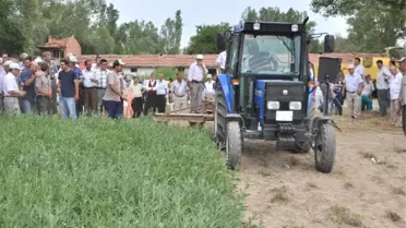 Kütahya'da 'Adaçayı ve Kekik Hasat Günü'