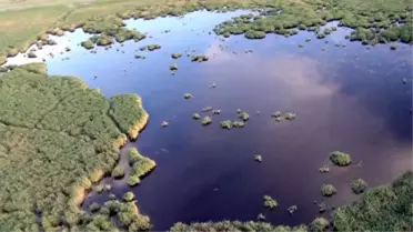Sultansazlığı Su Bolluğu