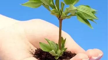 90 Bin Şehide 90 Bin Fidan Projesi