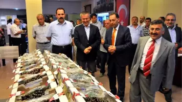 Akşehir Kirazı Kültür ve Sanat Festivali Başladı