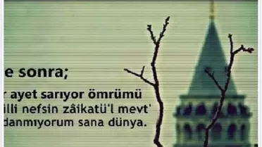 İki Kamyon Arasında Ezilen Hafif Ticari Araçta 3 Ölü (2)