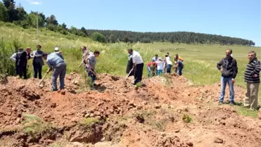 Sarıkamış Gönül Dostları Hatıra Ormanı