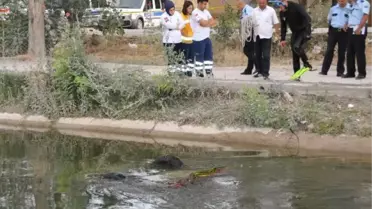 Sulama Kanalına Uçan Otomobilin Sürücüsü Öldü
