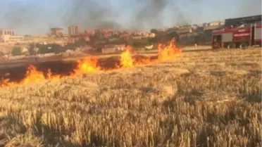 Anız Yangını Zincirleme Kazaya Neden Oldu