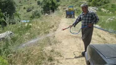 Karaman'da Çekirgelere Karşı İlaçlı Mücadele