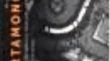 Artamonoff: Bizans İstanbul'u İmgeleri 1930-1947 Kitabı