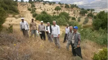 Karaman'da 7 Bin Antep Fıstığı Aşılandı