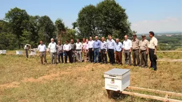 Pazarköy'de Bal Ormanı Açılışı Yapıldı